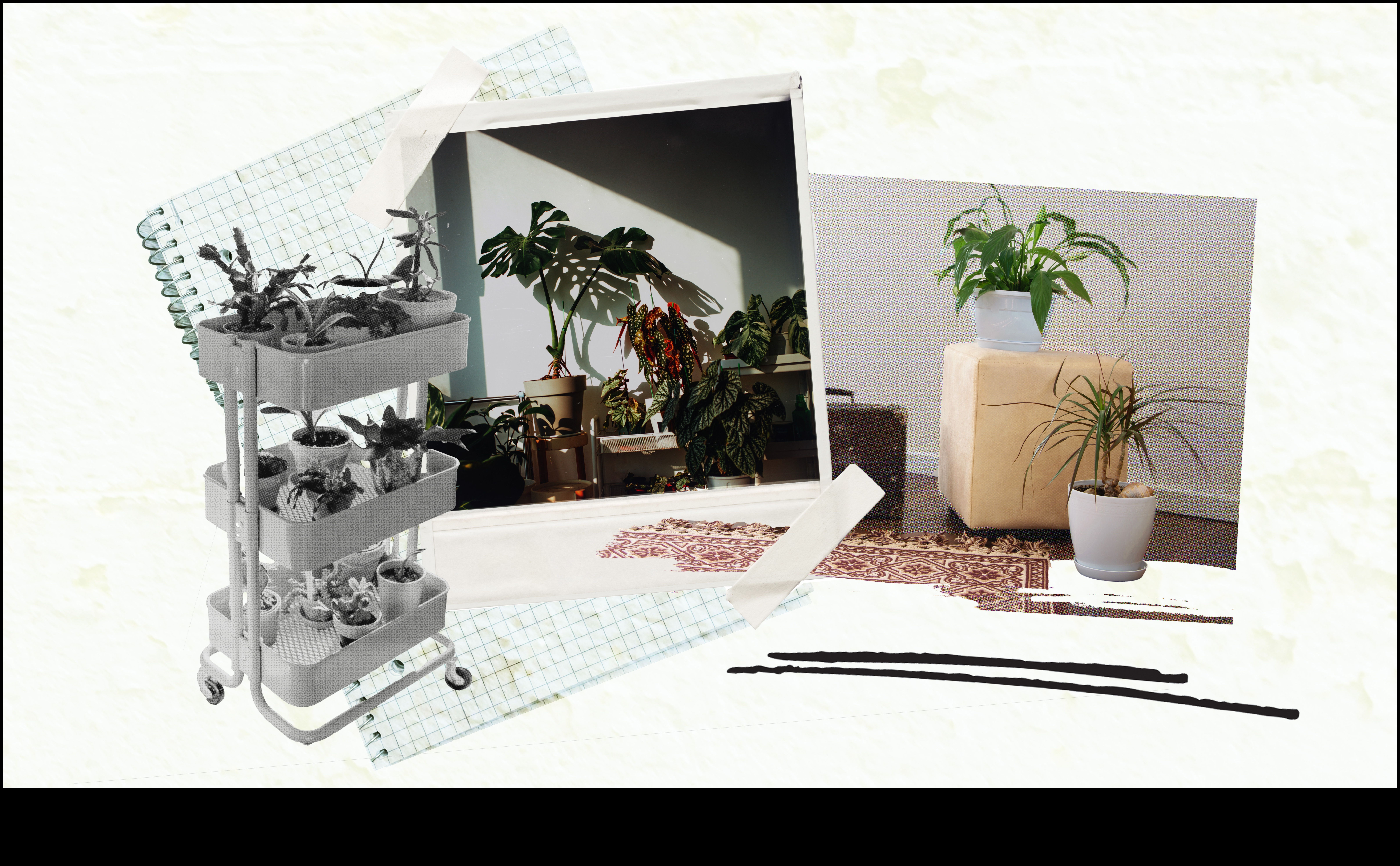 Φέρτε το Outdoors In 7 Συμβουλές για να ξεκινήσετε έναν εσωτερικό κήπο 4 Bring the Outdoors In: Βασικές συμβουλές για εσωτερική κηπουρική