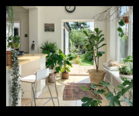 Φέρτε το Outdoors In 7 Συμβουλές για να ξεκινήσετε έναν εσωτερικό κήπο 5 Bring the Outdoors In: Βασικές συμβουλές για εσωτερική κηπουρική