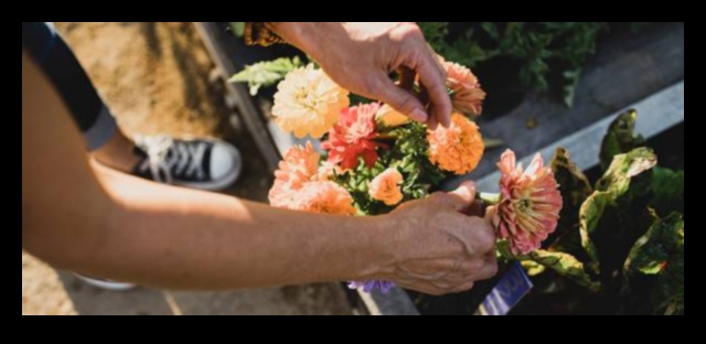 Καλλιεργήστε τη χαρά: Βασικά βήματα για ζωηρή φροντίδα στον κήπο