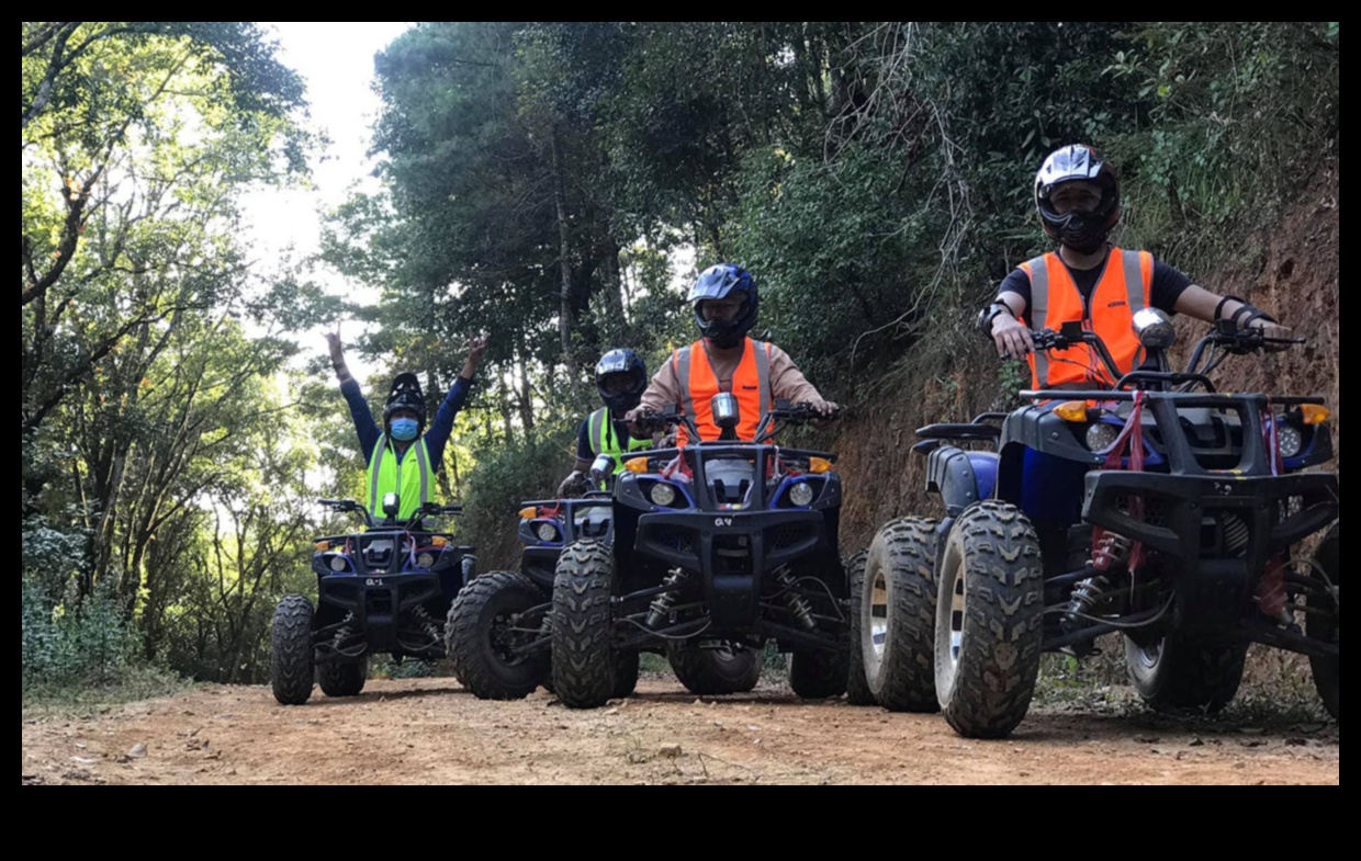 Mountain Biking Majesty Conquering Peaks and Valleys on Two Wheels 4 Mountain Biking Majesty: Conquering Peaks and Valleys on Two Wheels