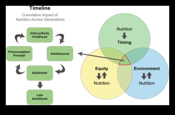 Διατροφή για όλες τις ηλικίες: Στρατηγικές δημόσιας υγείας σε όλη τη διάρκεια ζωής
