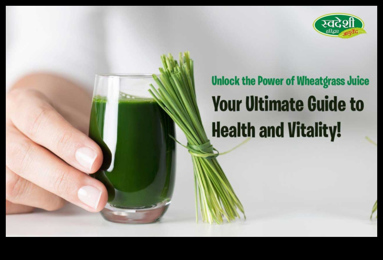 Mineral Mastery: Πλοήγηση στο μονοπάτι προς την υγεία και τη ζωτικότητα