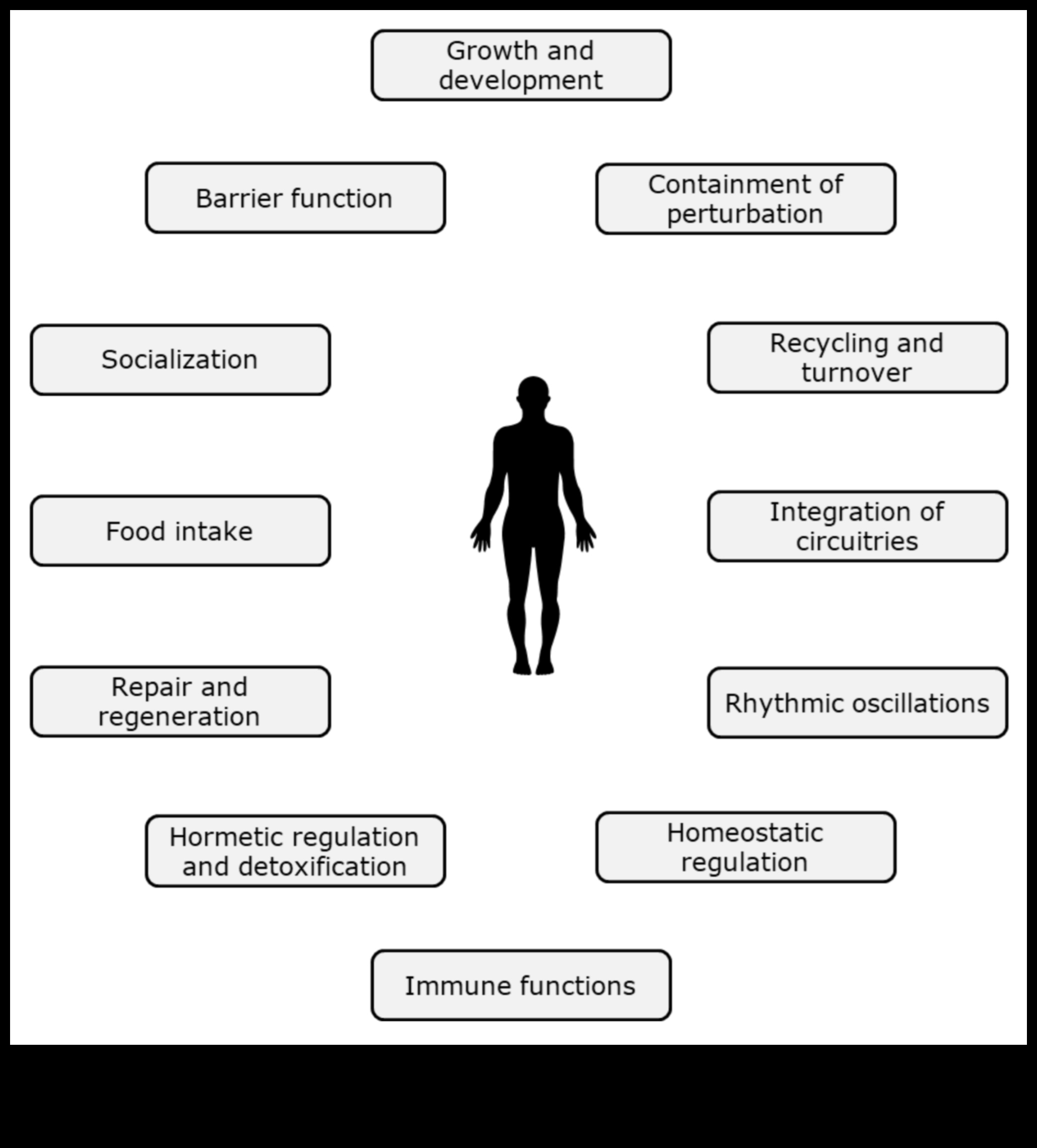 Διερεύνηση των Βιοχημικών Βάσεων της Διατροφικής Υγείας 3 Βιοχημικές βάσεις: Εξερευνώντας τις ρίζες της διατροφικής υγείας