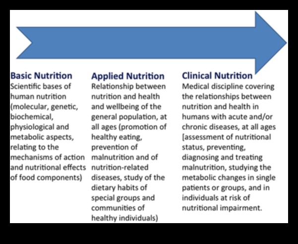 Διερεύνηση των Βιοχημικών Βάσεων της Διατροφικής Υγείας 5 Βιοχημικές βάσεις: Εξερευνώντας τις ρίζες της διατροφικής υγείας