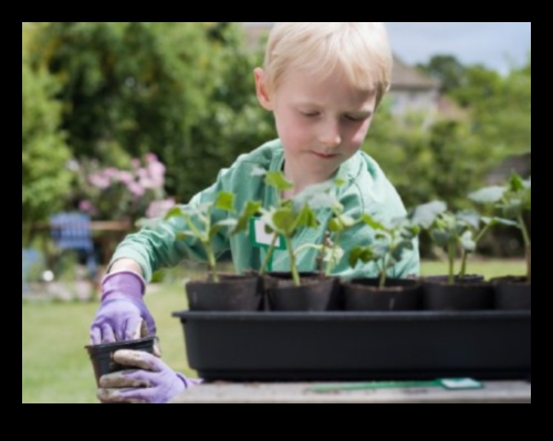 Green Minds που καλλιεργούν την περιέργεια και τη δημιουργικότητα μέσω της μάθησης στον κήπο 2 Green Minds: Elevating Education through Garden Wisdom