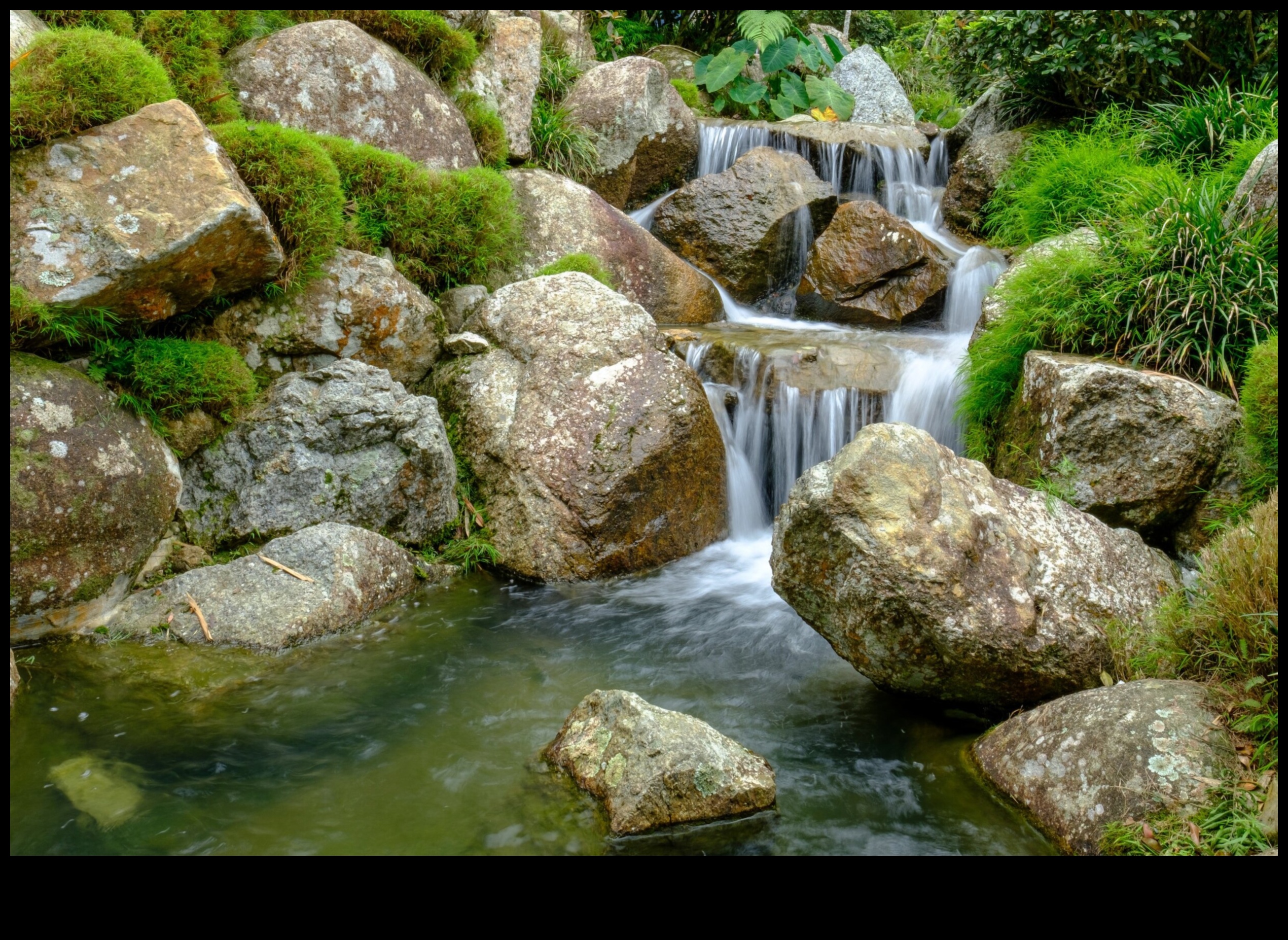 Garden Whispers Pro Συμβουλές για να δημιουργήσετε έναν γαλήνιο και όμορφο χώρο 5 Garden Whispers: Επαγγελματικές συμβουλές για έναν γαλήνιο και όμορφο χώρο