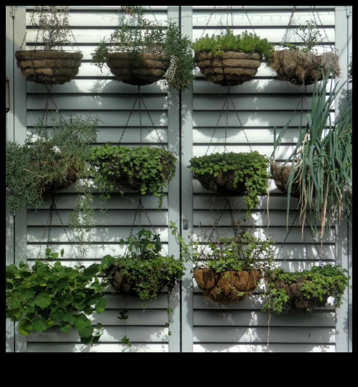 Πράσινο το χώρο σας 5 εύκολα βήματα για την επιτυχία της εσωτερικής κηπουρικής 3 Πρασίνοντας τον χώρο σας: Η εσωτερική κηπουρική έγινε απλή