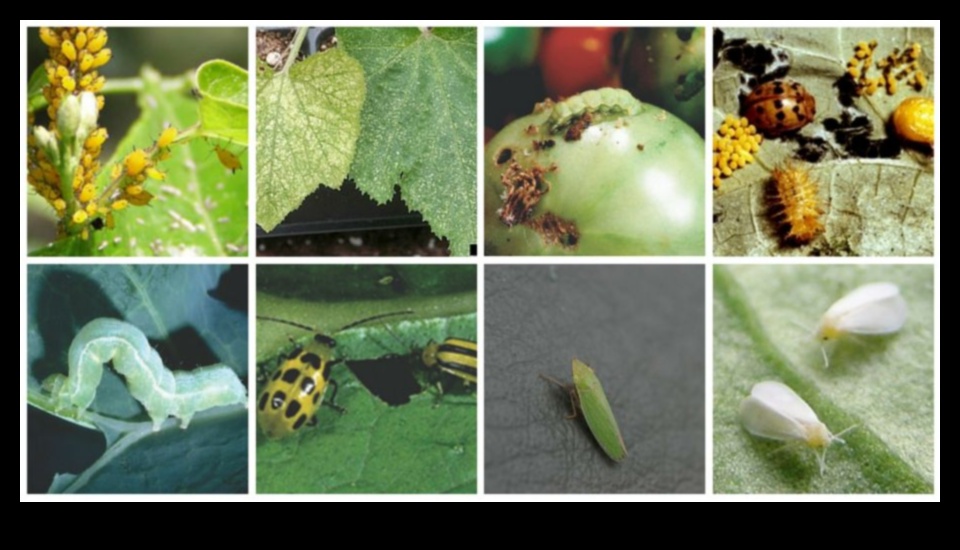 Προστατέψτε από παράσιτα τον παράδεισο σας Οδηγός κηπουρού σε έναν υγιή, χωρίς έντομα κήπο 2 Pest-Proof Your Paradise: A Gardener's Guide