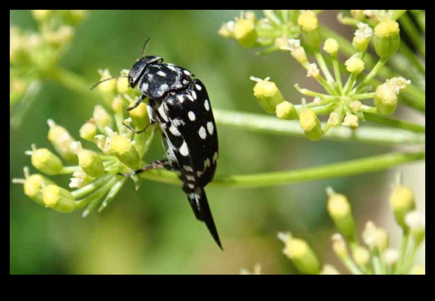 Προστατέψτε από παράσιτα τον παράδεισο σας Οδηγός κηπουρού σε έναν υγιή, χωρίς έντομα κήπο 3 Pest-Proof Your Paradise: A Gardener's Guide