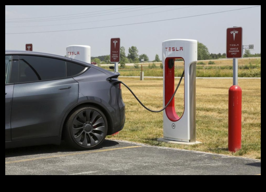 Charging Stations Chronicles: The Rise of Infrastructure for EVs