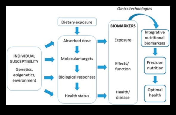 The Biochemical Palette: A Spectrum of Health in Nutrition Science