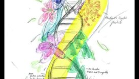 Designing for Health Impact Art that Heals 6 Σχεδιασμός για τον αντίκτυπο στην υγεία: Τέχνη που αφήνει μια μόνιμη εντύπωση πληροφορικής για την υγεία