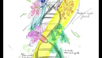 Σχεδιασμός για τον αντίκτυπο στην υγεία: Τέχνη που αφήνει μια μόνιμη εντύπωση πληροφορικής για την υγεία