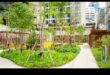 Garden Haven in the City: Urban Greening Ideas