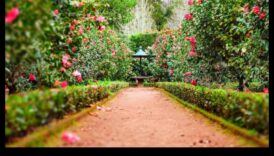 Garden Whispers Pro Tips για οραθείτε να δημιουργήσετε έναν γαλήνιο και πανέμορφο χώρο 5 Garden Whispers: Επαγγελματικές συμβουλές για έναν γαλήνιο και όμορφο χώρο