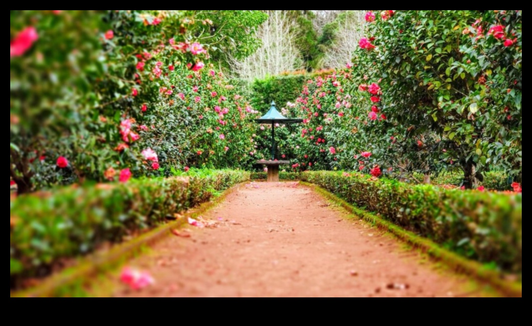 Garden Whispers Pro Συμβουλές για να δημιουργήσετε έναν γαλήνιο και όμορφο χώρο 2 Garden Whispers: Επαγγελματικές συμβουλές για έναν γαλήνιο και όμορφο χώρο