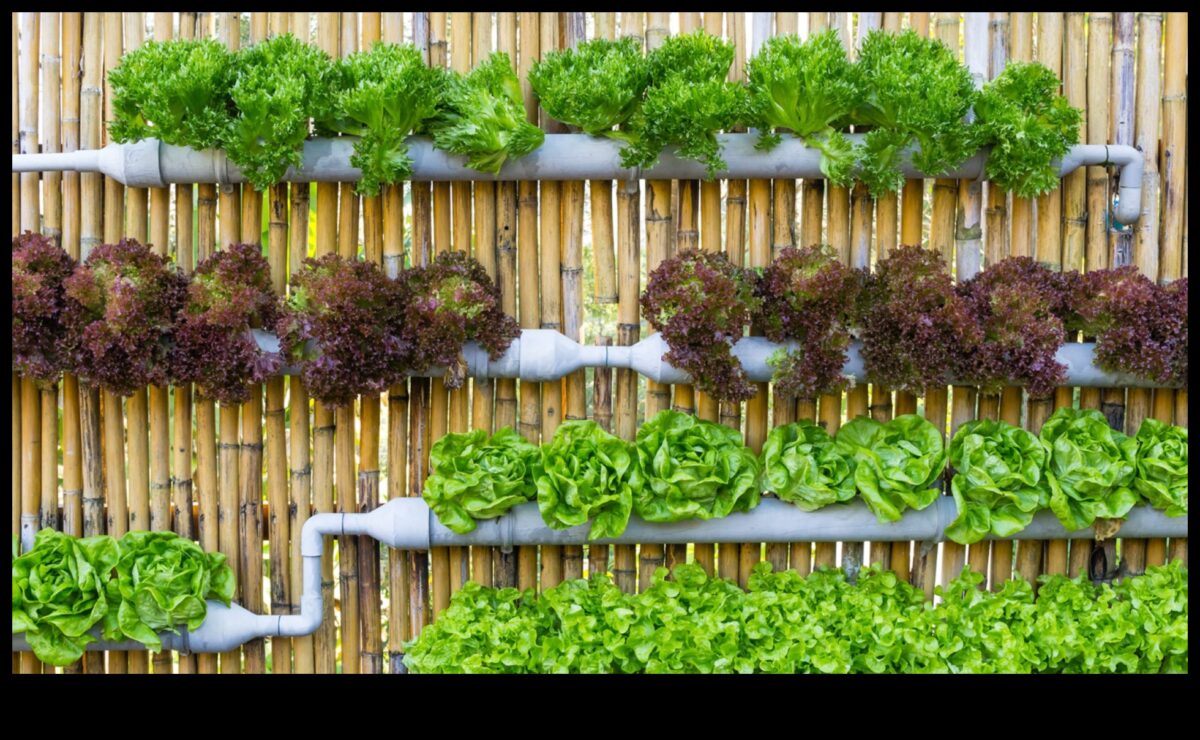 Πρασίνοντας τον χώρο σας: Η εσωτερική κηπουρική έγινε απλή