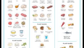 Performance Precision: Navigating Sports Nutrition for Success