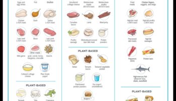 Performance Precision: Navigating Sports Nutrition for Success