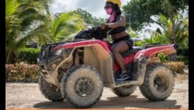 Riding the Wild: Embracing the Unbridled Encitement of Off-Road Expeditions