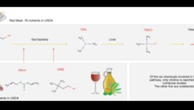 The Biochemical Palette: A Spectrum of Health in Nutrition Science