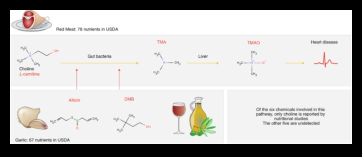 The Biochemical Palette: A Spectrum of Health in Nutrition Science