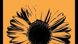 Τυπωμένο το έμφαση Radiant Revelations - Τα μυστικά και τεχνικές του στυλ και της μαγείας 5 Radiant Revelations: Accessory Magic Unveiled