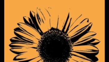 Radiant Revelations: Accessory Magic Unveiled