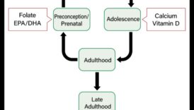 Διατροφή για όλες τις ηλικίες: Στρατηγικές δημόσιας υγείας σε όλη τη διάρκεια ζωής