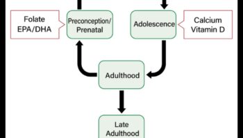 Διατροφή για όλες τις ηλικίες: Στρατηγικές δημόσιας υγείας σε όλη τη διάρκεια ζωής