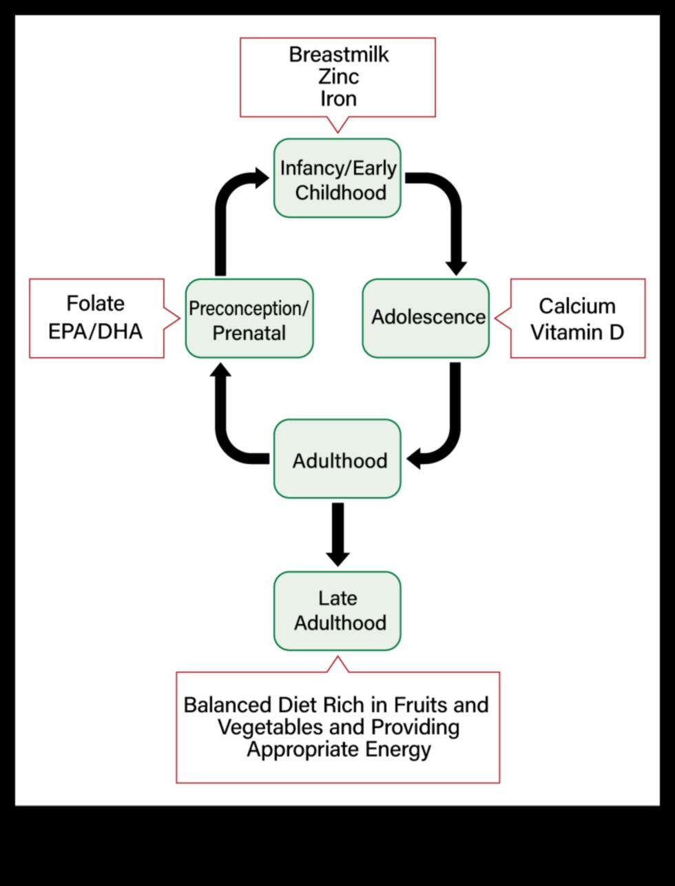 Διατροφή για όλες τις ηλικίες: Στρατηγικές δημόσιας υγείας σε όλη τη διάρκεια ζωής