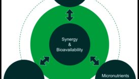 Βιοχημικές βάσεις: Εξερευνώντας τις ρίζες της διατροφικής υγείας