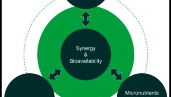 Βιοχημικές βάσεις: Εξερευνώντας τις ρίζες της διατροφικής υγείας