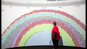 Δυναμικά σχέδια: Οπτικοποίηση συναλλαγών με διαδραστικές λύσεις blockchain