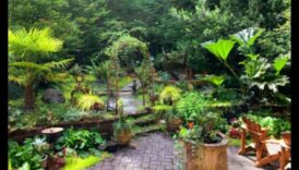 Εργαστήριο Κήπου Όαση Ένα σημείο για οραθείτε να καλλιεργήσετε ικανότητες και ελκυστικότητα 1 Εργαστήριο Κήπου Όαση: Καλλιέργεια δεξιοτήτων και ομορφιάς