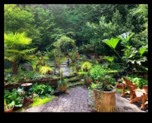 Εργαστήριο Κήπου Όαση: Καλλιέργεια δεξιοτήτων και ομορφιάς