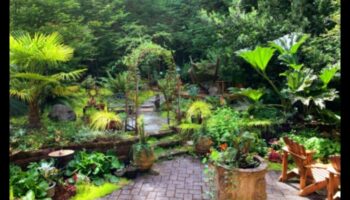 Εργαστήριο Κήπου Όαση: Καλλιέργεια δεξιοτήτων και ομορφιάς