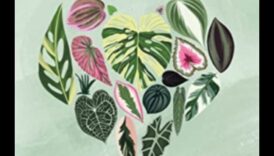 Καλλιεργήστε τη χαρά: Βασικά βήματα για ζωηρή φροντίδα στον κήπο