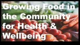 Κοινοτική Διατροφή: Η Διατροφή για τη Δημόσια Υγεία στον πυρήνα της