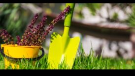 Περιμένουν καταπράσινα τοπία: Αποκαλύφθηκε ο απαραίτητος εξοπλισμός κήπου