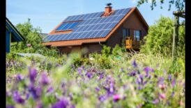 Eco-Friendly Wonders: Shaping Ideas into Renewable Realities