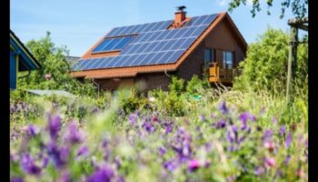 Eco-Friendly Wonders: Shaping Ideas into Renewable Realities