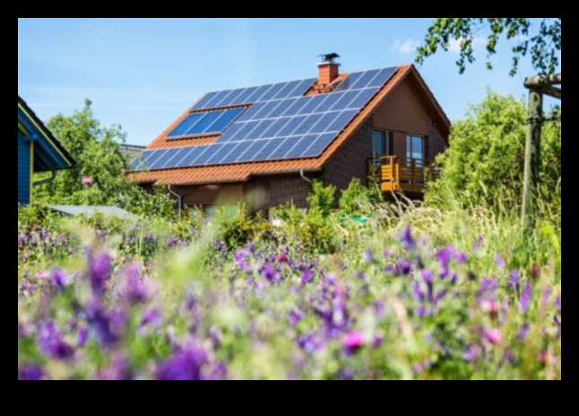 Το φιλικό προς το περιβάλλον αναρωτιέται πώς οι βιώσιμες καινοτομίες δημιουργούν ένα ανανεώσιμο μέλλον 1 Eco-Friendly Wonders: Shaping Ideas into Renewable Realities