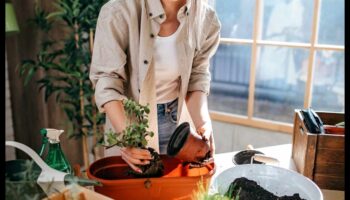 Bring the Outdoors In: Βασικές συμβουλές για εσωτερική κηπουρική