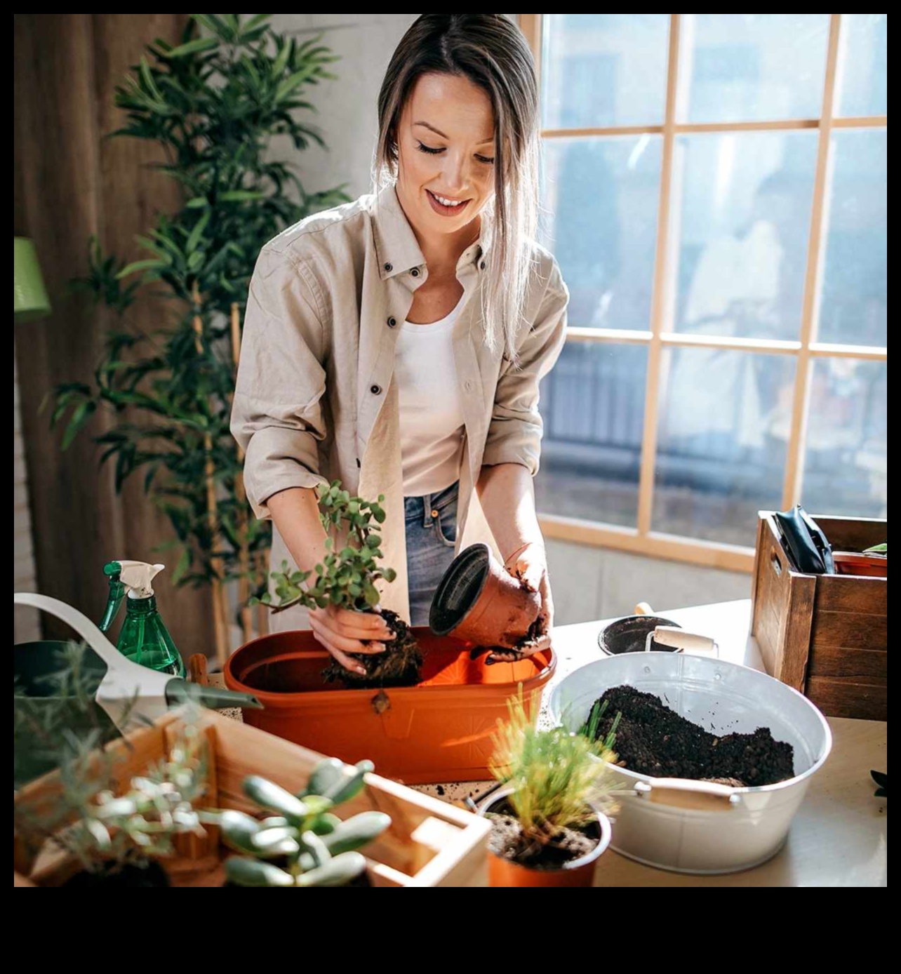 Φέρτε την ύπαιθρο σε 7 συμβουλές για να ξεκινήσετε έναν εσωτερικό κήπο 1 Bring the Outdoors In: Βασικές συμβουλές για εσωτερική κηπουρική